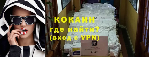 сатива Россошь