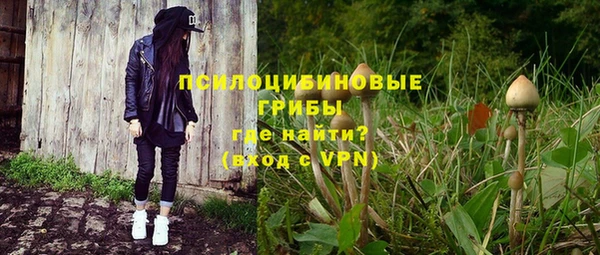 ешки Ростов