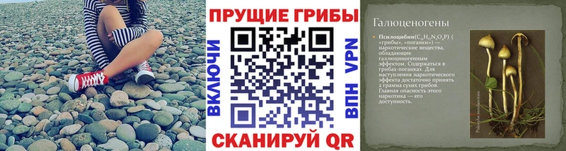 Галлюциногенные грибы мицелий  Бугуруслан 